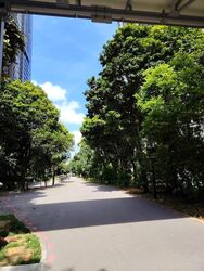 Blk 43A Skyoasis @ Dawson (Queenstown), HDB 3 Rooms #523137111
